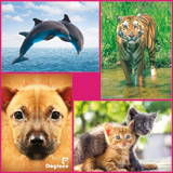 Dieren foto's