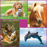 Dieren foto's