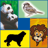 Realistische dieren