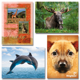 Dieren foto's