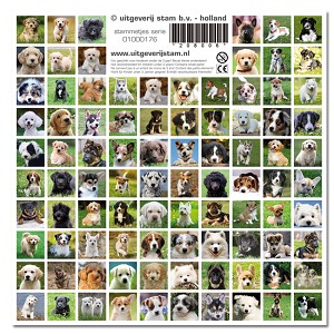 Serie 176 - puppy's