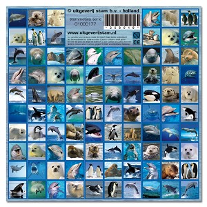 Serie 177 - sealife