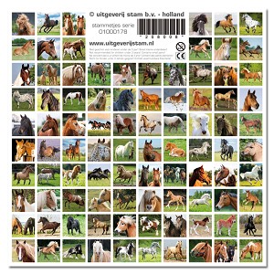 Serie 178 - horses