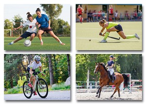 Serie 233 - sportmeiden