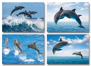 Serie 4137 - dolfijnen