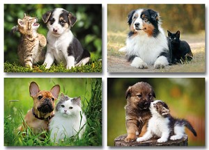 Serie 11088 - hondjes met poesjes