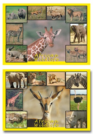 Serie 12084 - African wildlife