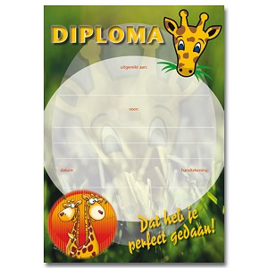 Diploma 1051  dat heb je perfect gedaan!