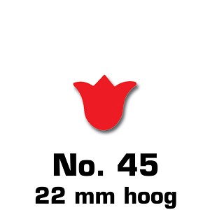 Tulpje
