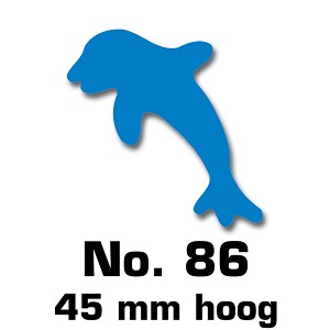 Dolfijn