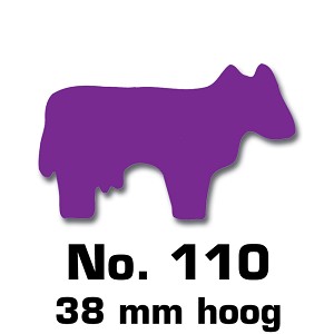 Koe